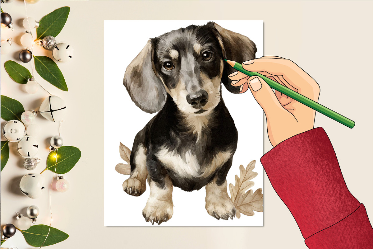 Dachshund Clipart Cozy Dog Png, an Illustration by DreamCafeArt (Photo 6 of 6)