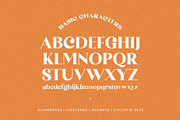 The Brande and Lotaline [UPDATED], a Serif Font by Arterfak Project (Thumbnail 11 of 15)