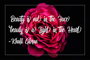 Miguela Script, a Script Font by RedyStudio (Thumbnail 6 of 10)