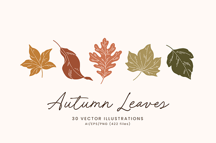 Autumn Leaf Vector Illustrations, a Decorative Illustration by Emma Webb Studio