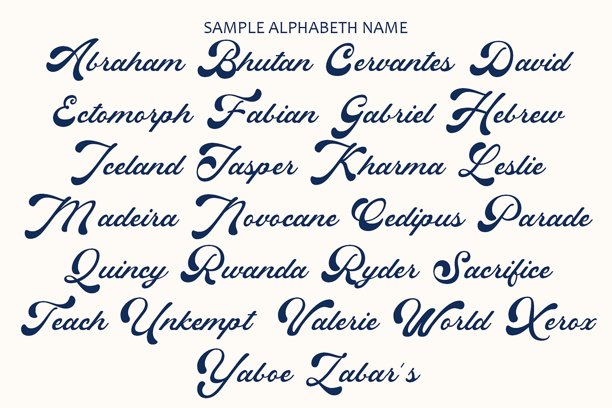 Pregnant - Bold Script Font, a Script Font by Arendxstudio (Photo 8 of 9)