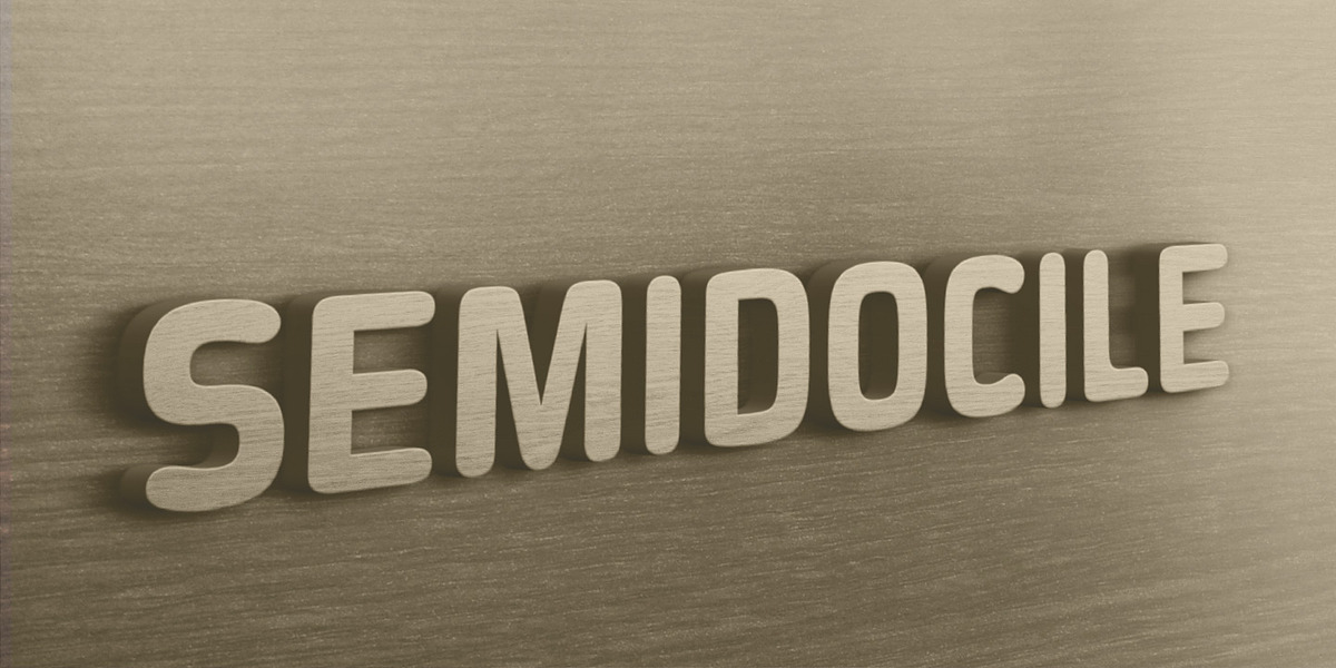 Semidocile, a Sans Serif Font by Stiff Upper Glyph (Photo 1 of 11)