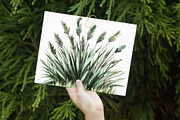 Watercolor Fishing Clipart, an Illustration by Libby Wishes (Thumbnail 3 of 7)