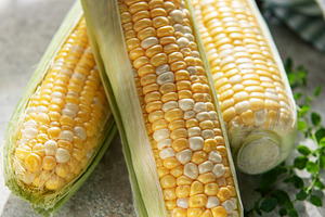 Fresh sweet corn cobs displaying yellow kernels, a Food & Drink Photo by Olena Rudo