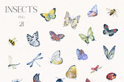 World of Butterflies & Wild Flowers., a Seasonal Illustration by Designwork (Thumbnail 18 of 20)