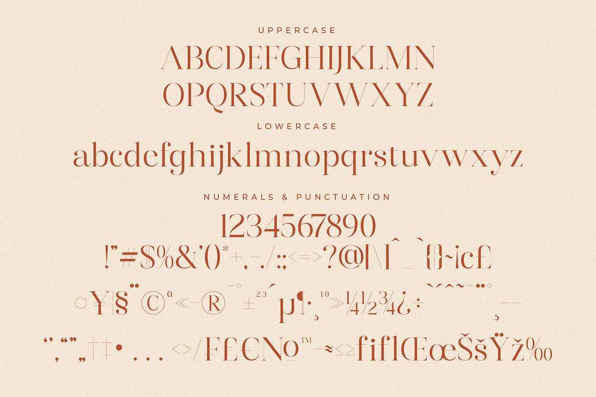 Harfine Modern Serif Font, a Serif Font by Letterena Studios (Photo 13 of 15)