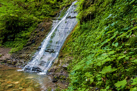 Forest waterfalls in the mountains, a Nature Photo by Photostock