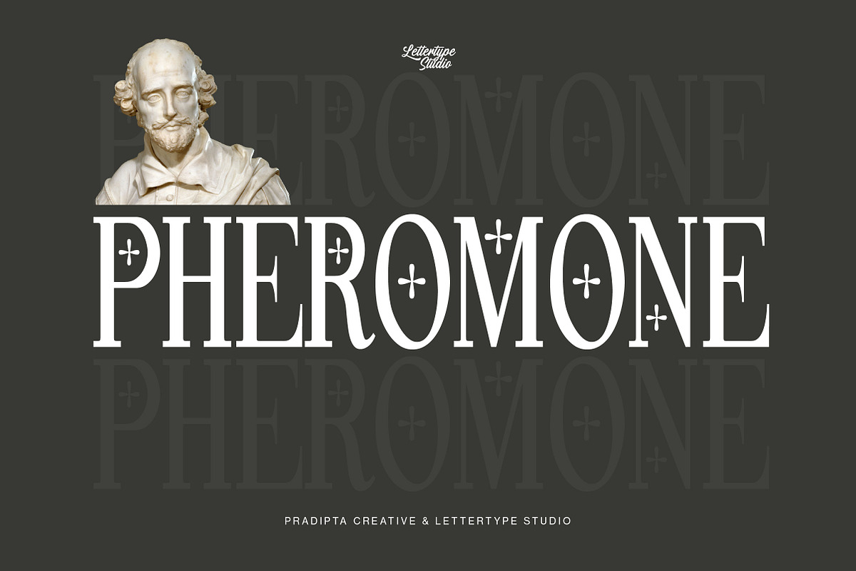 Pheromone Ultimate | Modern Classic, a Serif Font by Lettertype Studio (Photo 3 of 20)