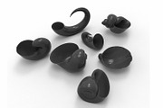 7 Shell Planter for 3D Printing, an Object 3D Model by Kseniya-Omega (Thumbnail 3 of 17)