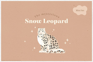 The Mysterious Snow Leopard