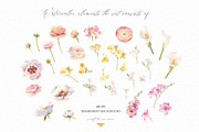 Exquisite Flora. Watercolor set., a Texture Illustration by Elegantia (Thumbnail 11 of 13)