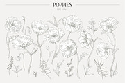 Elegant Poppies Spring flowers, an Illustration by ms Julia Nova (Thumbnail 3 of 7)