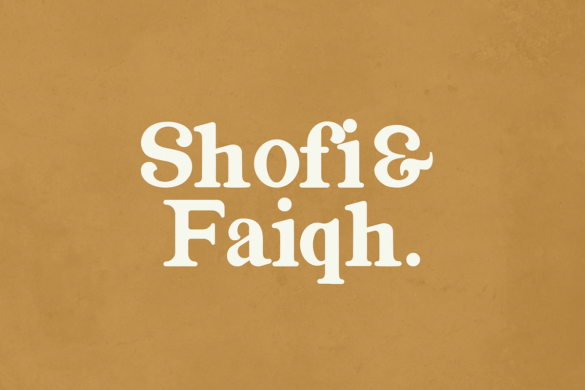 Magazine Family Font preview 4
