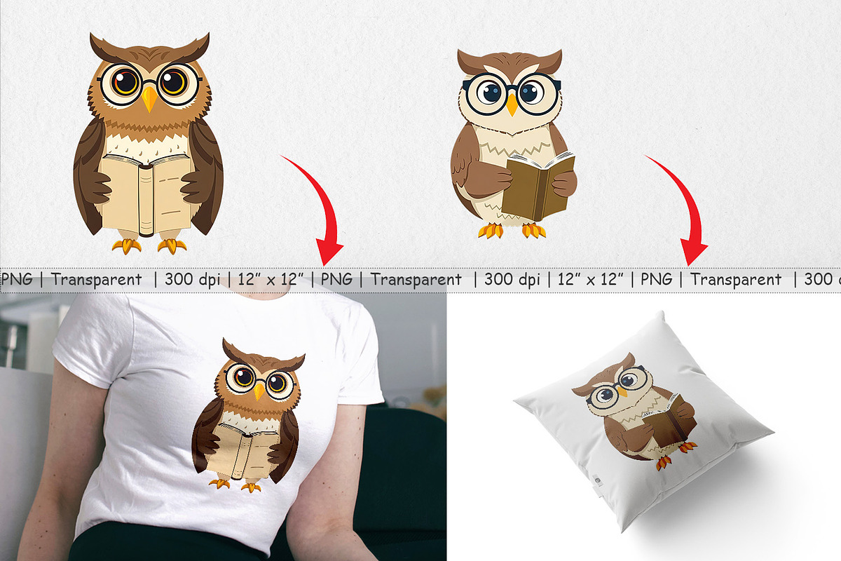 Teacher Owl Clipart, a Graphic by Artnoy (Photo 3 of 5)