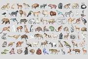 ANIMALS World Encyclopedia, an Animal Illustration by Anastezia Luneva (Thumbnail 14 of 14)