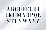 Emerald - Business Font, a Serif Font by RockboyStd (Thumbnail 11 of 12)