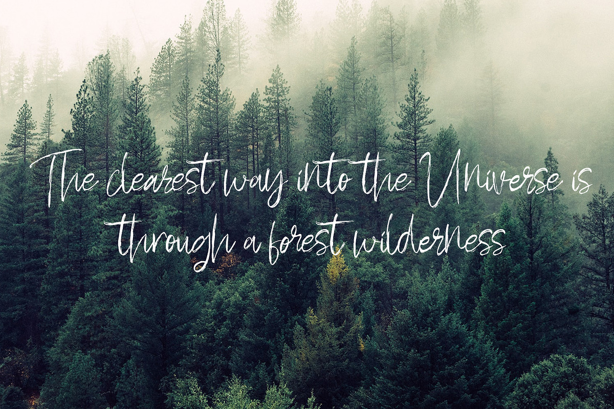 Hakodate - Handbrush Typeface preview 6