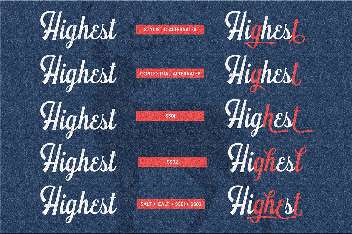 Schramberg Font Duo + Logo Template preview 8
