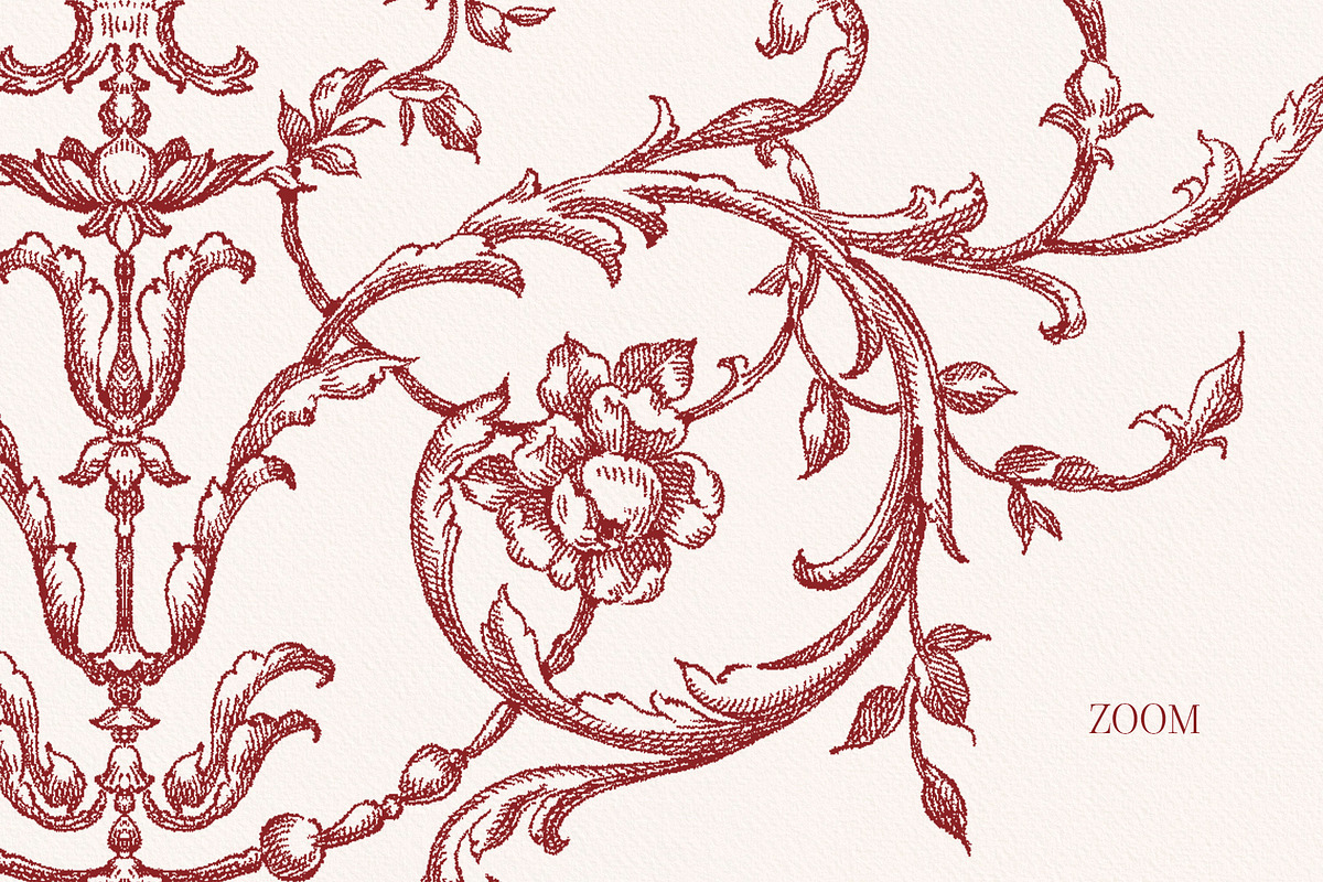 Burgundy Floral Garden Borders, a Decorative Illustration by Ekaproeka (Photo 5 of 6)