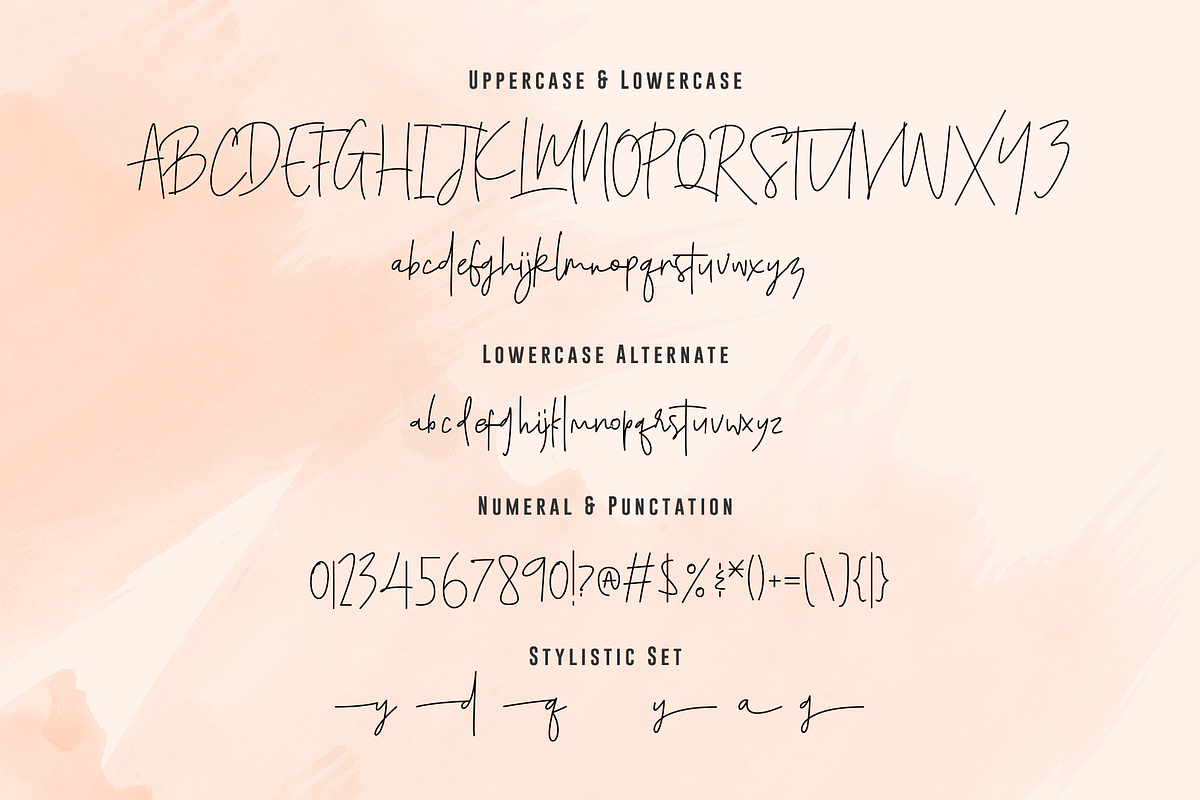 Santiago Pro - Signature / Free Logo, a Script Font by Dierstudio (Photo 18 of 18)
