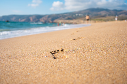 Footprints On Ocean Sandy Beach, a Photo by andreonegin market