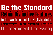Tradesman Collection, a Sans Serif Font by GRYPE (Thumbnail 5 of 6)