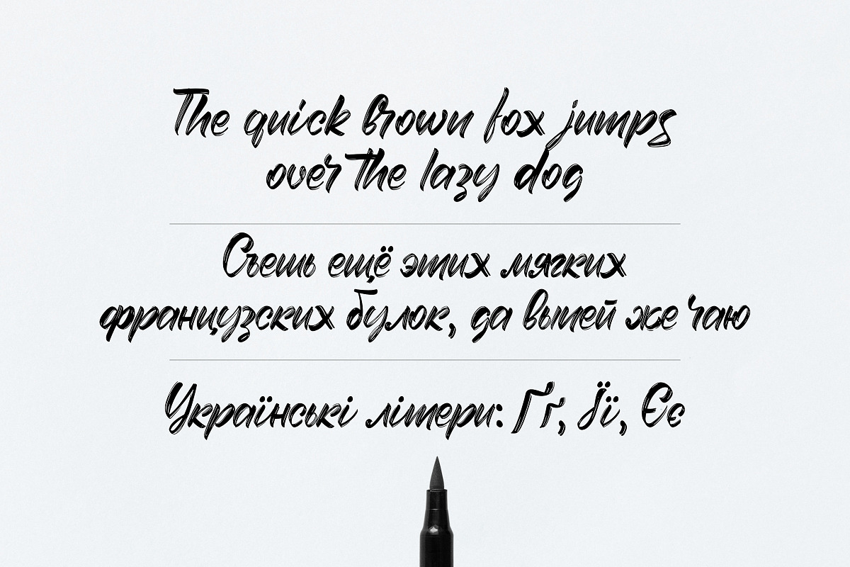 Beerlogoff. Latin and Cyrillic Font., a Script Font by DenBrush Studio (Photo 4 of 7)