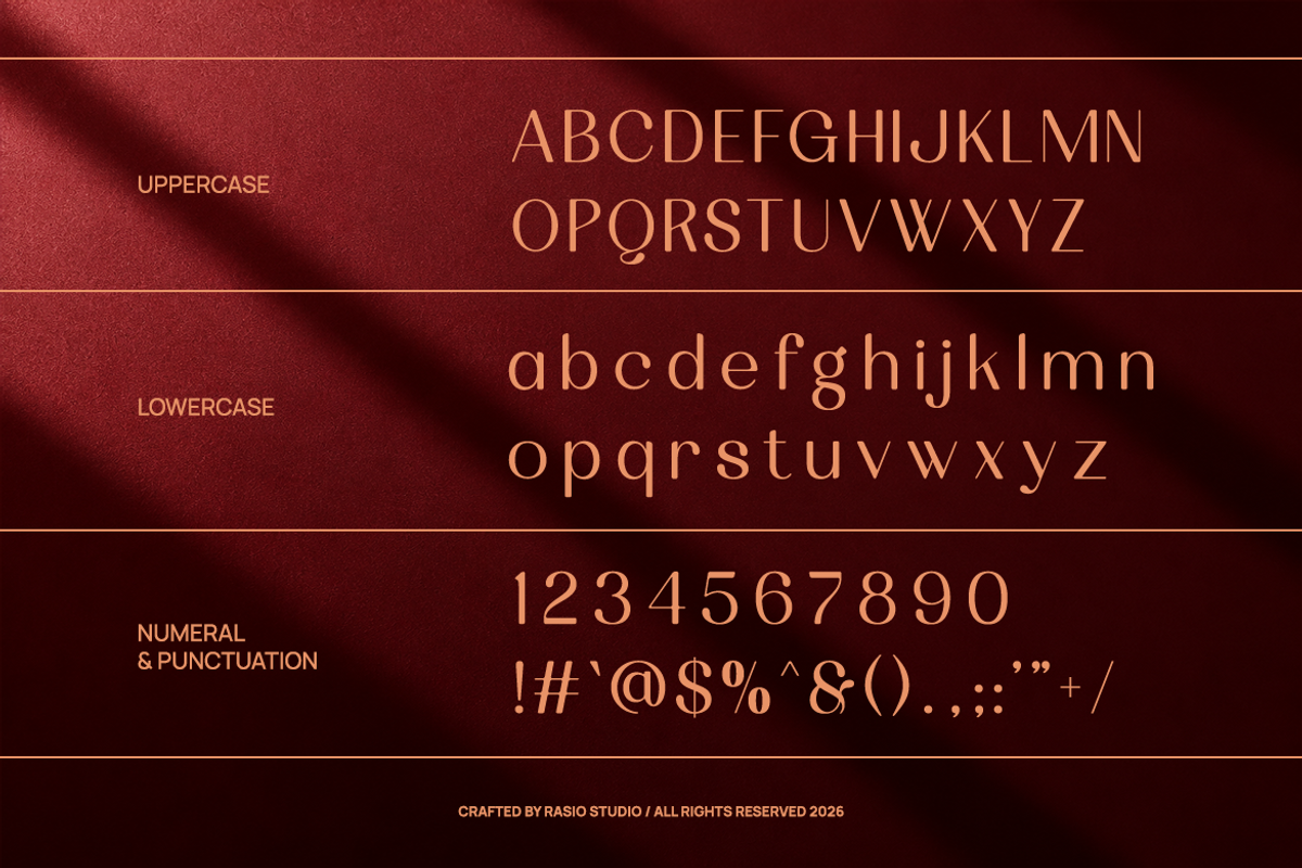Mermare Modern Elegant Serif Font, a Serif Font by Rasio Studio (Photo 2 of 11)