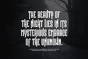 Cairne Modern Futuristic Sans Serif, a Serif Font by Perfectype (Thumbnail 3 of 6)