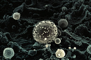 52 Fictional Microscopic Organisms, an Abstract Photo by h.utomo (Thumbnail 22 of 52)