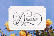 Rocksane Display, a Serif Font by Andrey Sharonov (Thumbnail 17 of 18)