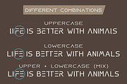 Alienaire Font Duo, a Sans Serif Font by GlitzyGrapix (Thumbnail 7 of 9)