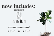 Farewell Angelina font family, a Serif Font by Ana's Fonts (Thumbnail 9 of 11)