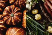 Vegetable Image Collection, a Food & Drink Photo by nkate (Thumbnail 8 of 15)