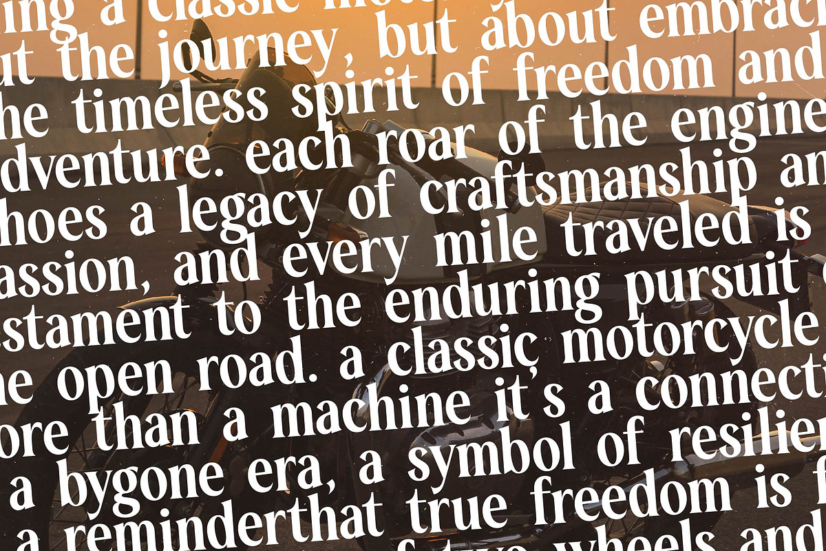 Rodagile Modern Display Serif, a Serif Font by timelesstype.co (Photo 15 of 20)
