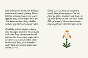 Silverdale Typeface, a Blackletter Font by Emyself Design (Thumbnail 10 of 14)