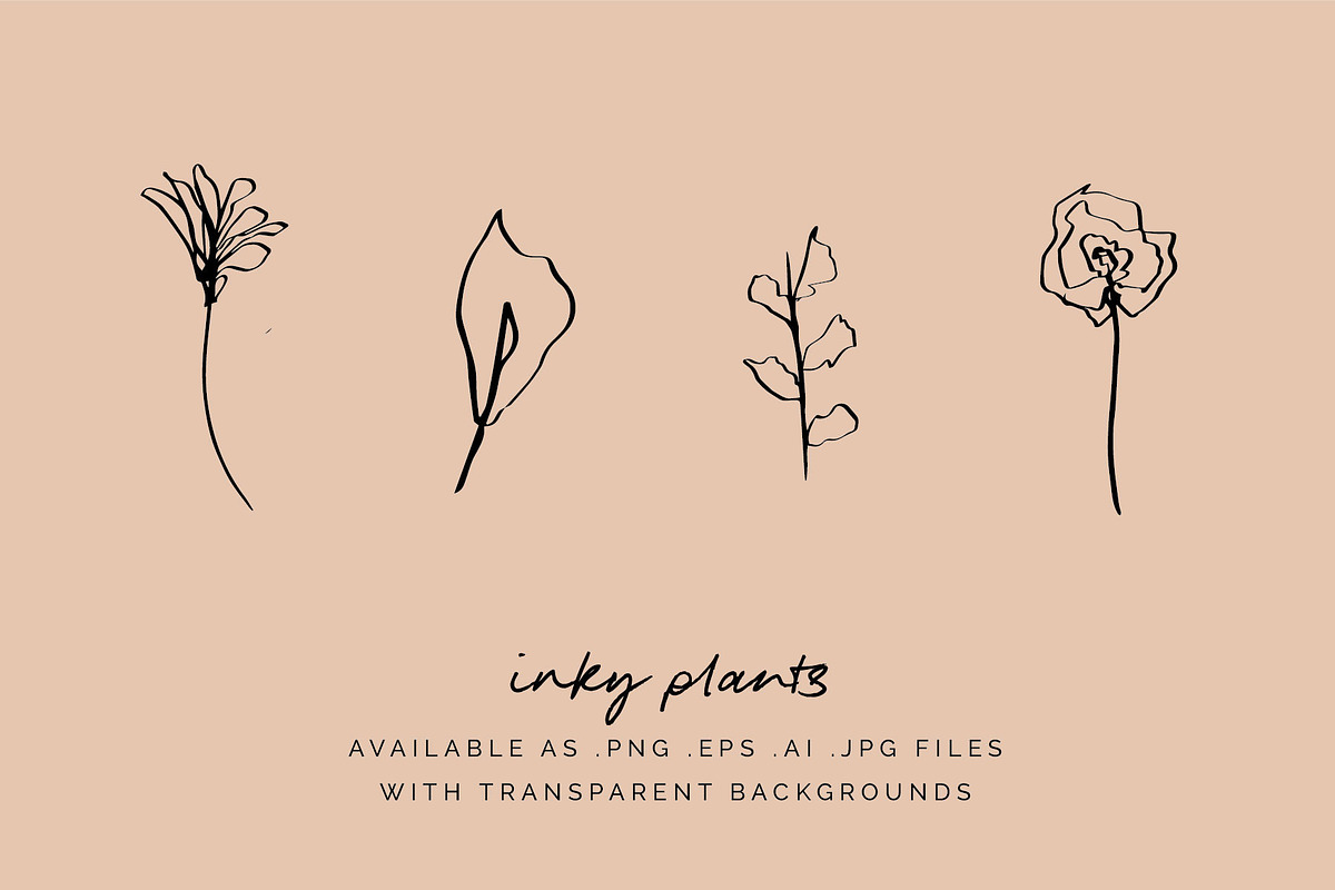 Floral Botanical Plant Illustrations, an Icon by CreativeWilderness (Photo 3 of 11)