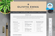 Resume/CV Bundle | 200+ for $29, a Resume Template by ResumeInventor (Thumbnail 174 of 207)