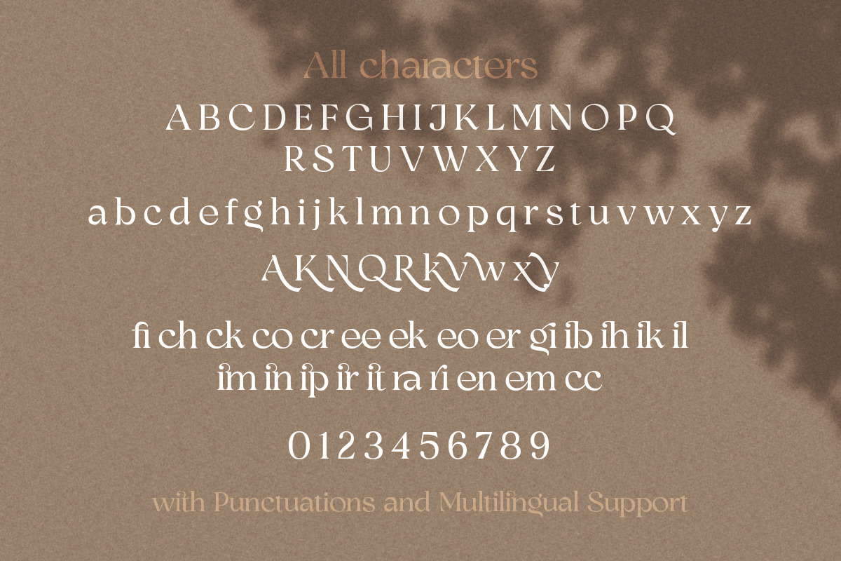 Bhinerka - Stylish Serif Font, a Sans Serif Font by Letterhend Studio (Photo 9 of 9)