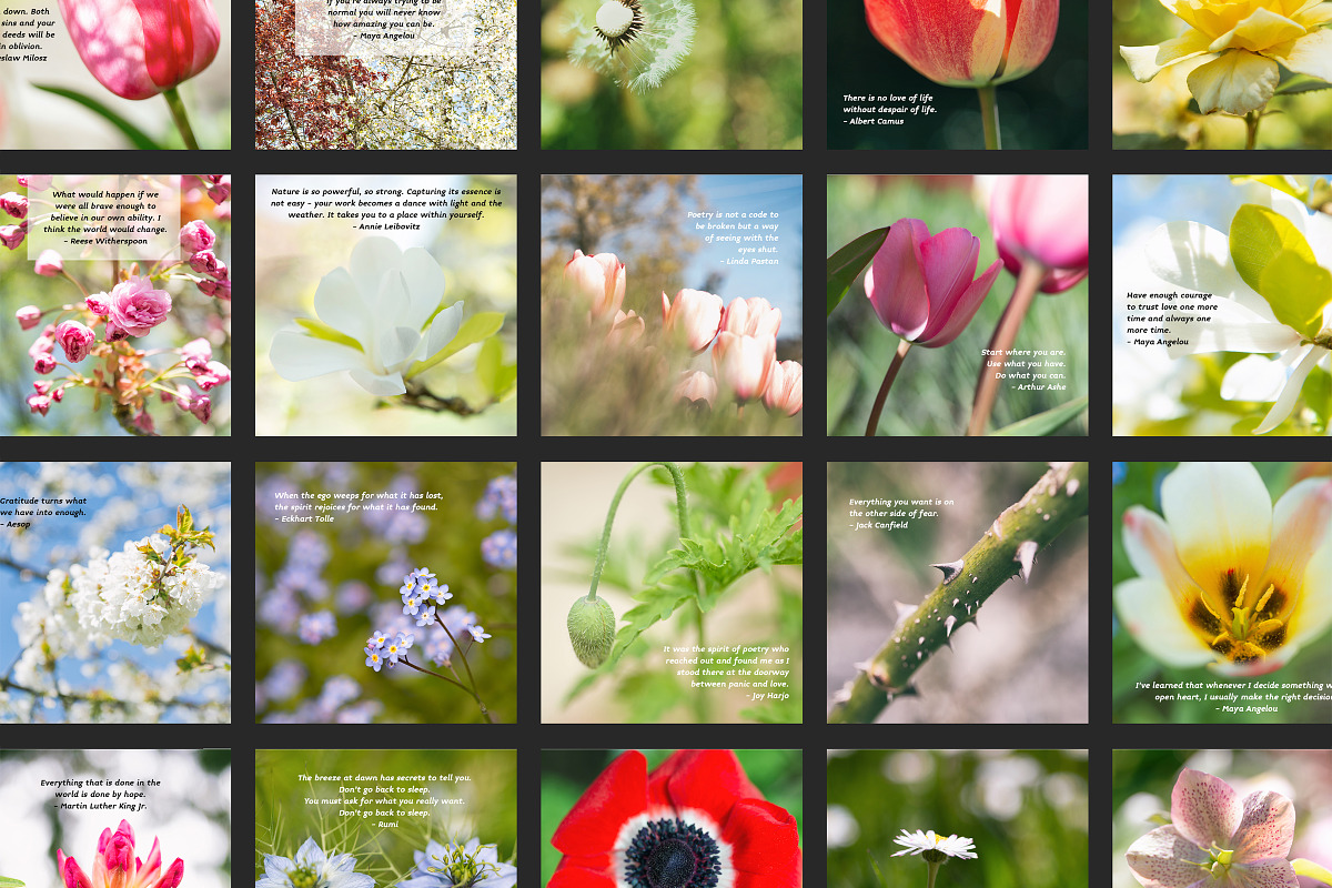 Flower Therapy Instagram Posts, a Social Media Template by minersgold (Photo 3 of 7)