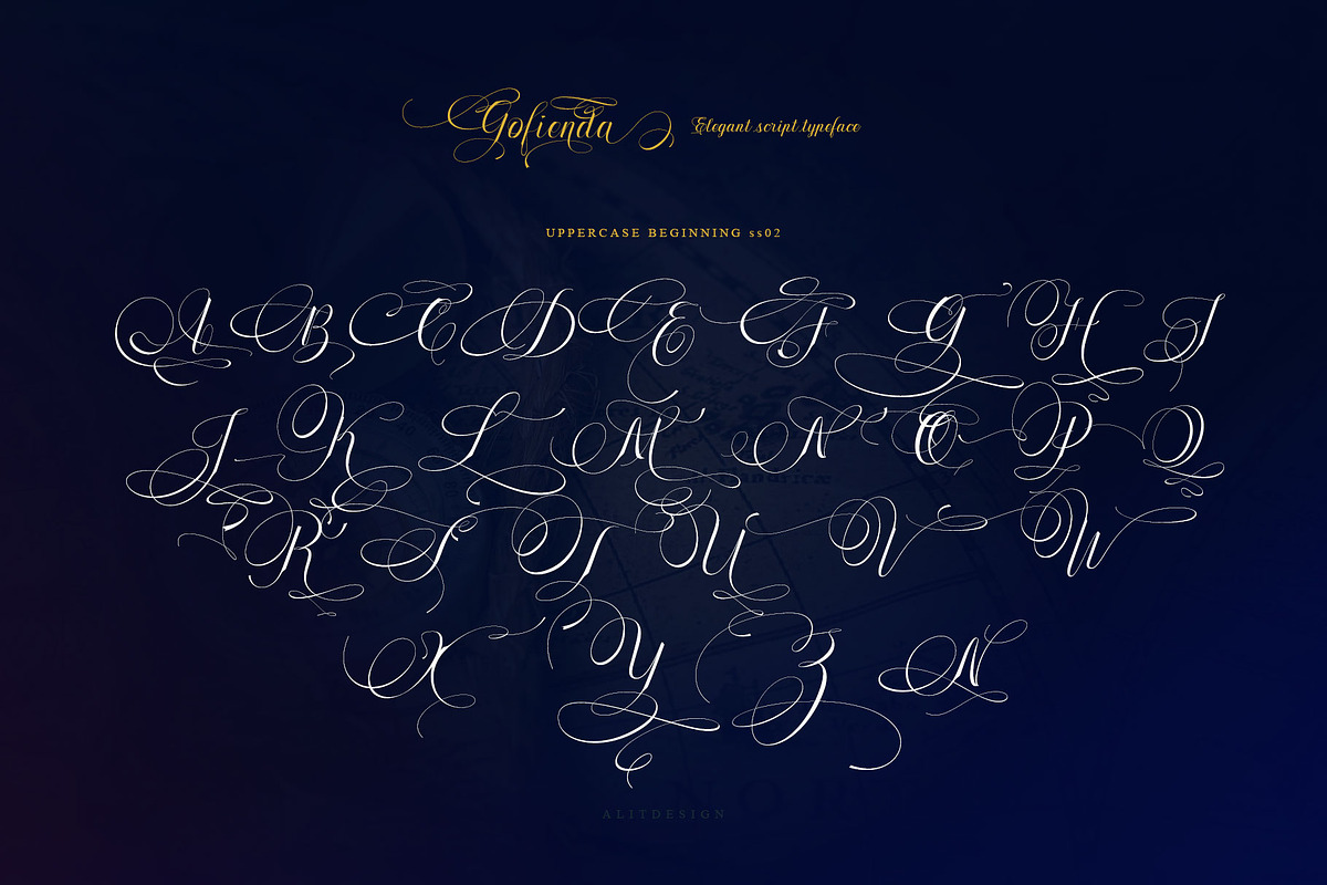 Gofienda, a Script Font by alit design (Photo 15 of 17)