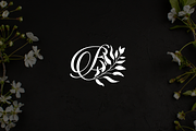 Minimalist Letter B Natural Logo, a Branding & Logo Template by Luxury Logos (Thumbnail 2 of 4)