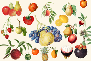 Exotic Fruits From Around The World