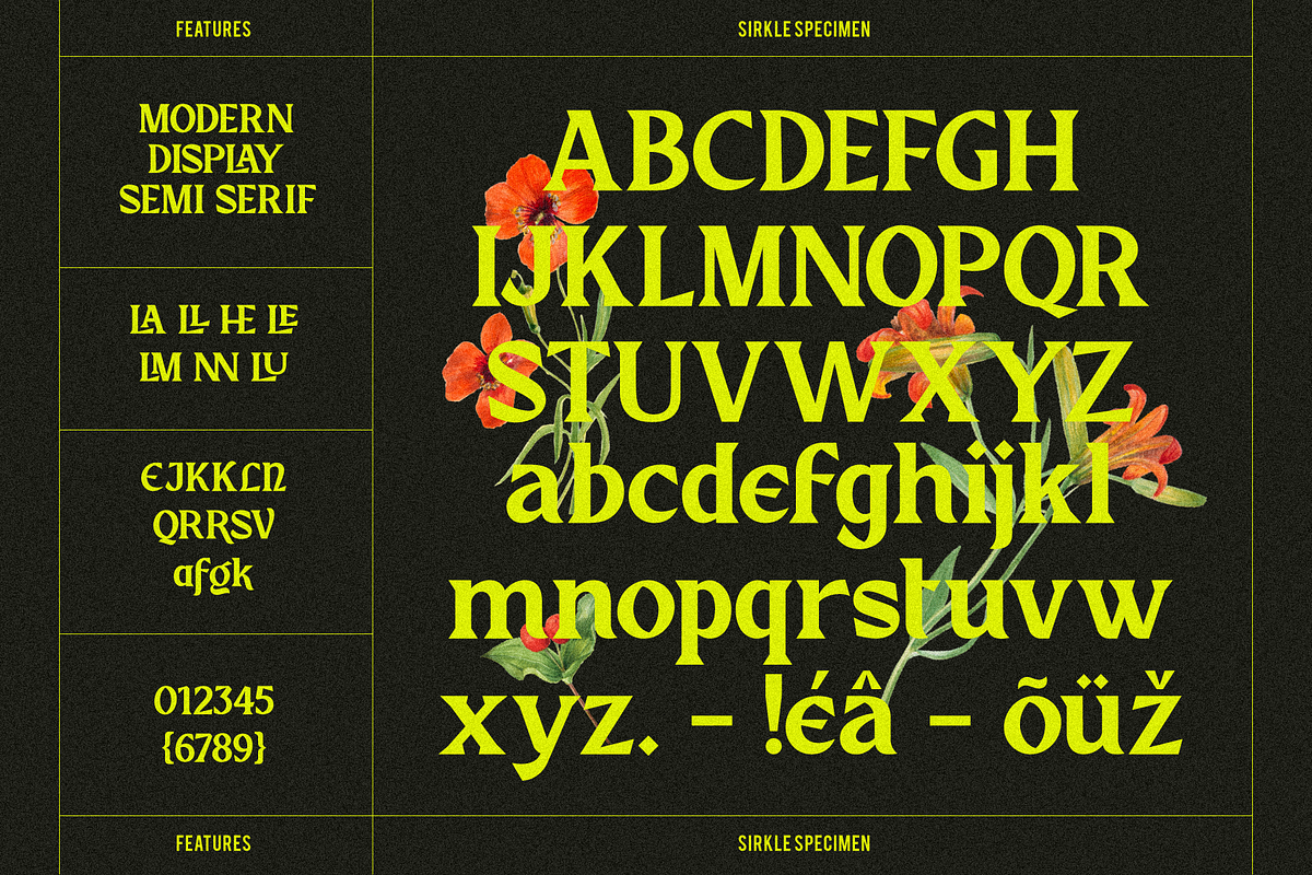 Sirkle - Semi Serif Display, a Serif Font by Invasi Studio (Photo 10 of 11)