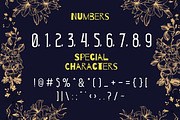 Victorian - Vintage Display Font, a Serif Font by PaperMoon (Thumbnail 4 of 4)