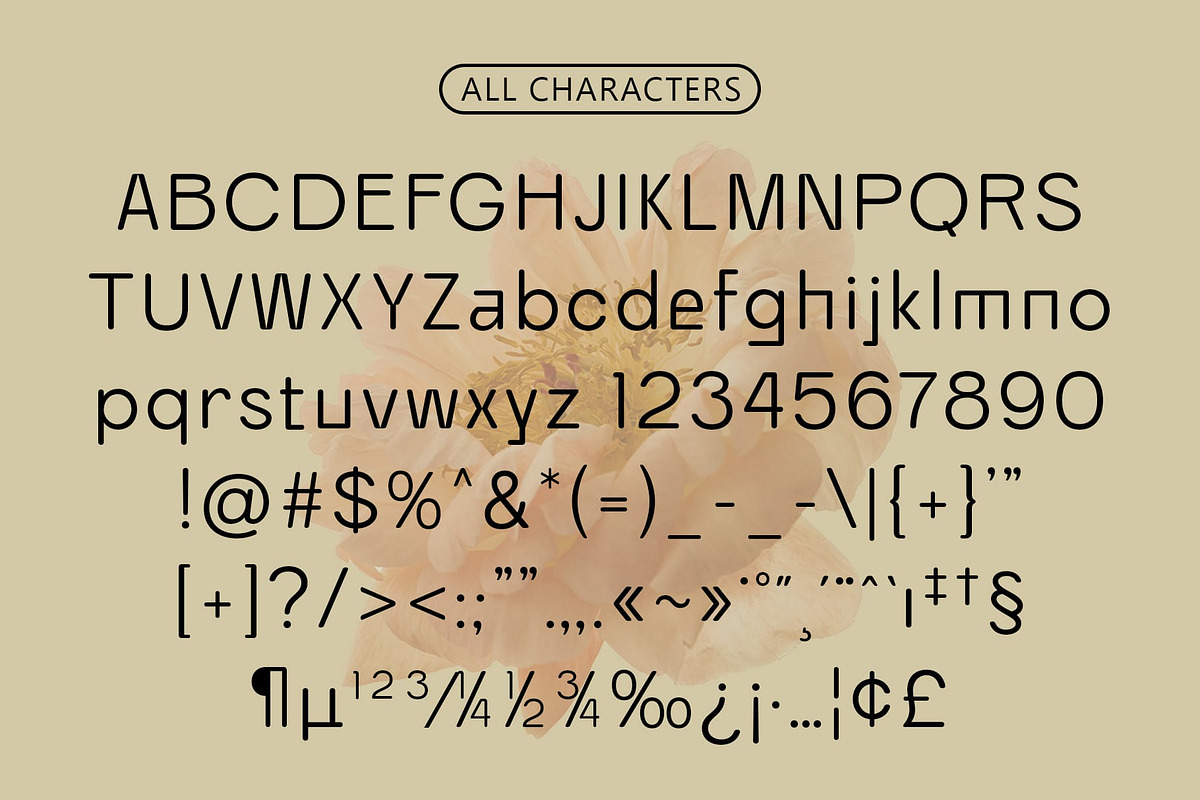 Ranberg Rounded, a Sans Serif Font by Craft Supply Co. (Photo 4 of 8)