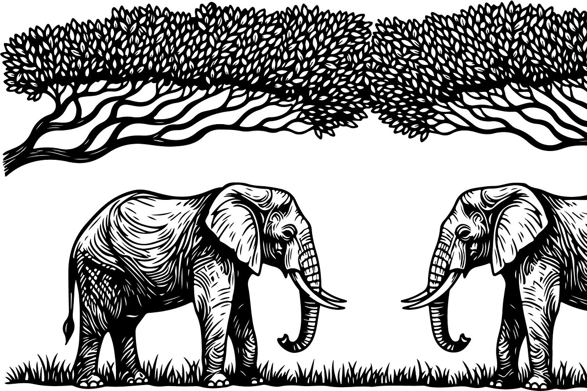 Wild Elephant Silhouette Set, an Illustration by jahid234 (Photo 20 of 21)