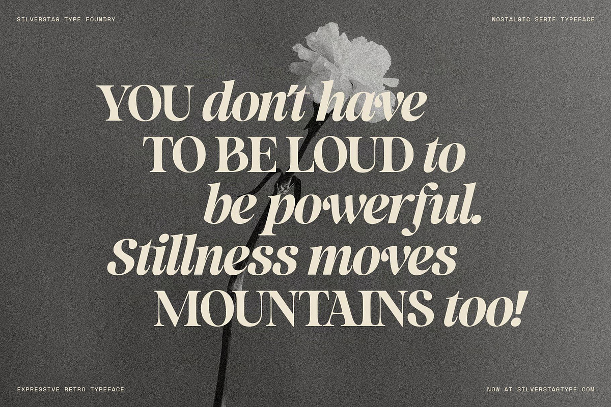 La Mystere - Editorial Serif Font, a Serif Font by SilverStag Type Foundry (Photo 19 of 30)