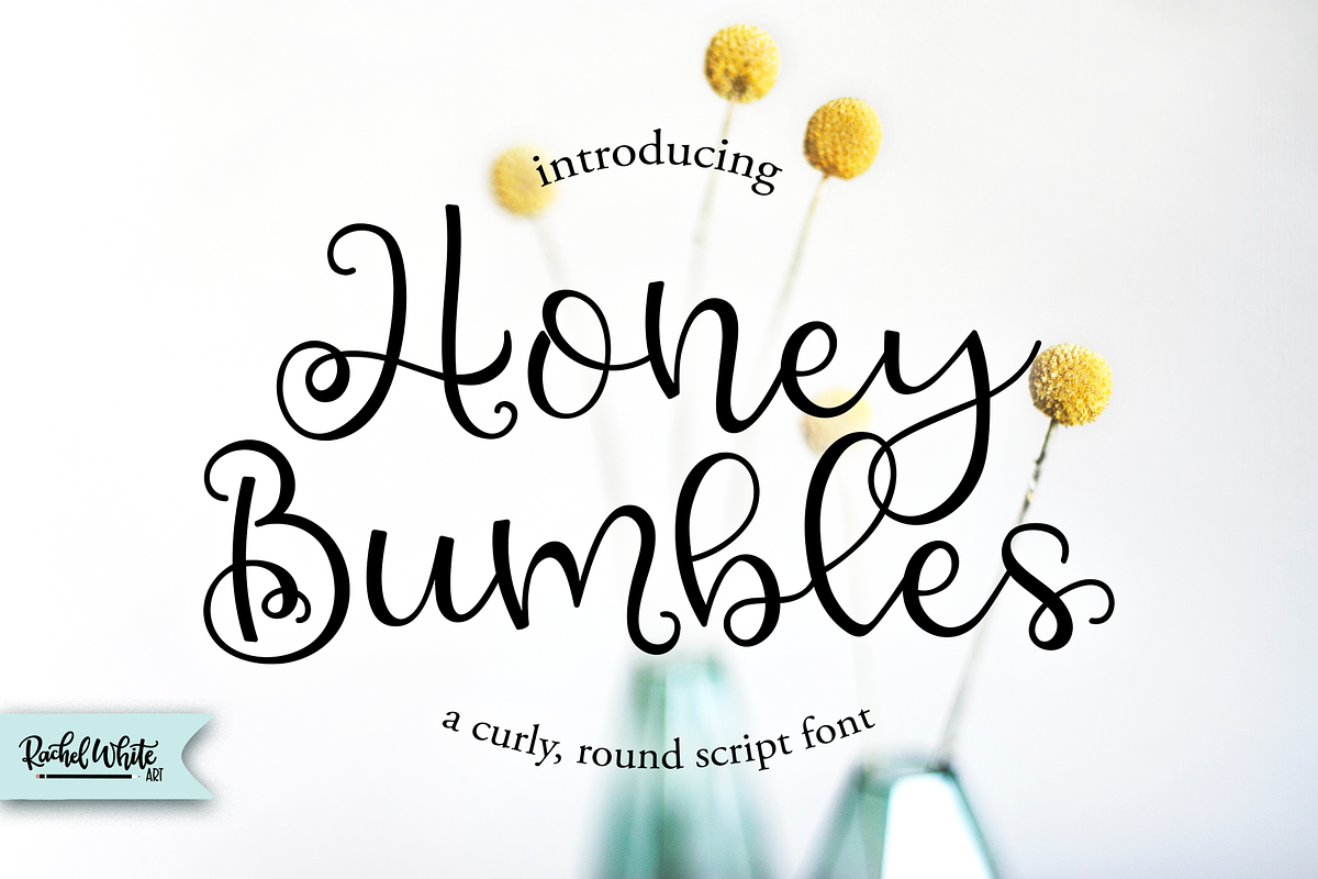 Favorite Font Bundle, 8 fonts, a Script Font by Rachel White Art (Photo 10 of 17)
