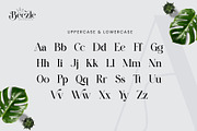 Beezle Modern Serif Font, a Serif Font by Idea Studio (Thumbnail 6 of 10)